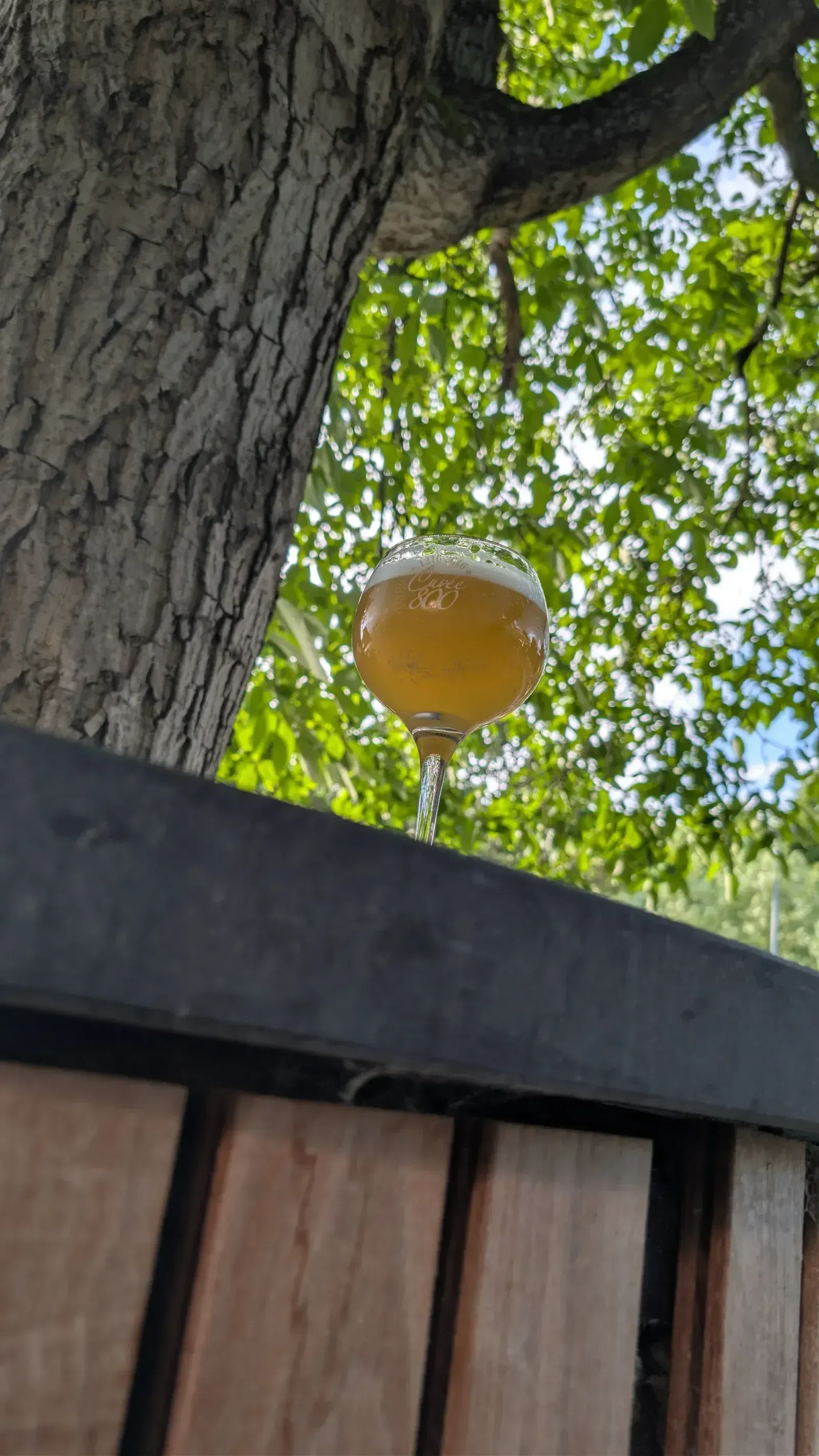 Glas Val-Dieu-Bier auf der Terrasse