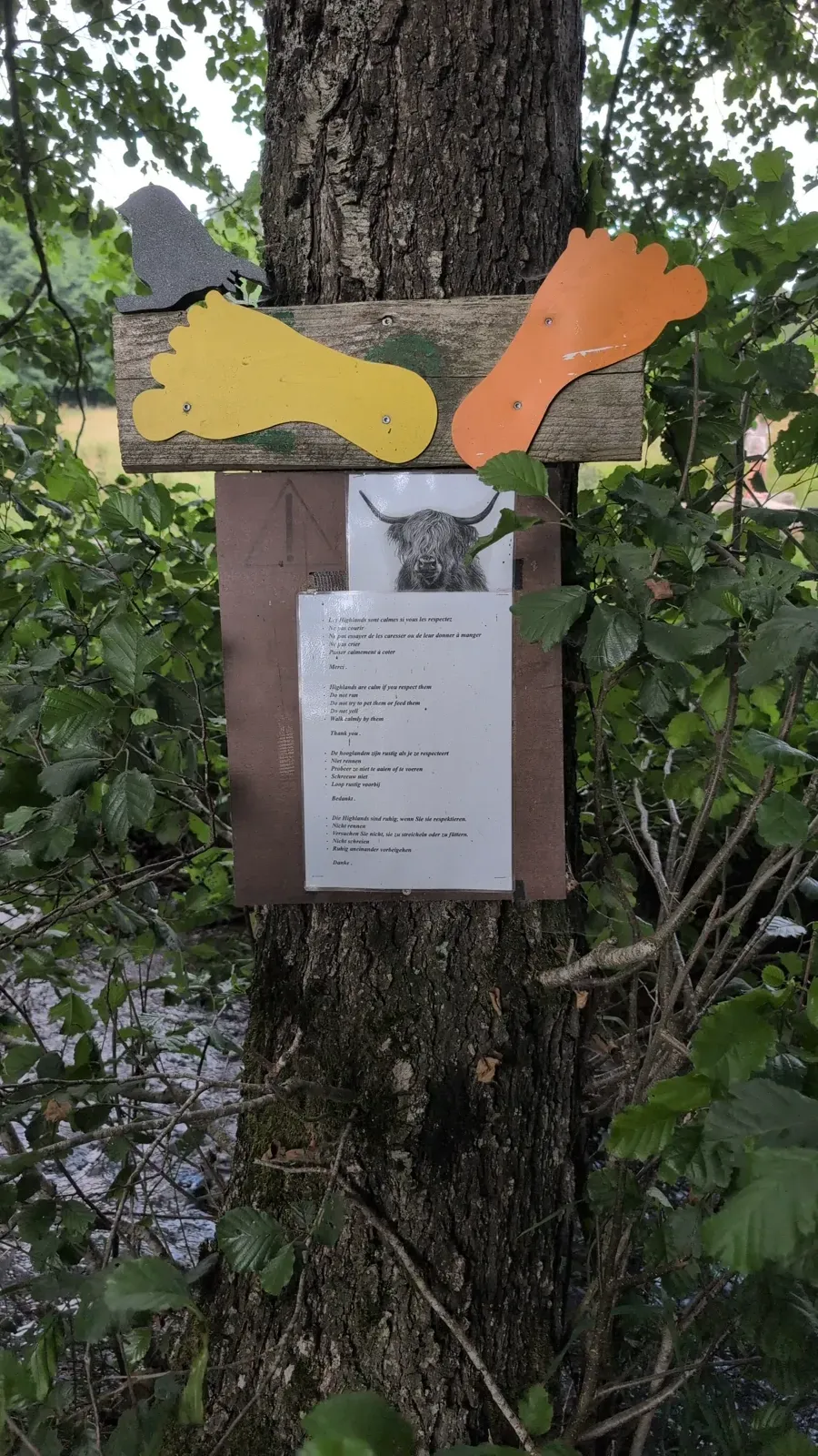 Trail markers, yellow foot and orange foot