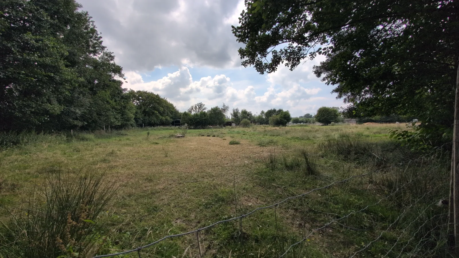 Image illustrative : De Ferme de la Planche in Gouvy: een gezinswandeling om terug verbinding te maken met de natuur, blootsvoets