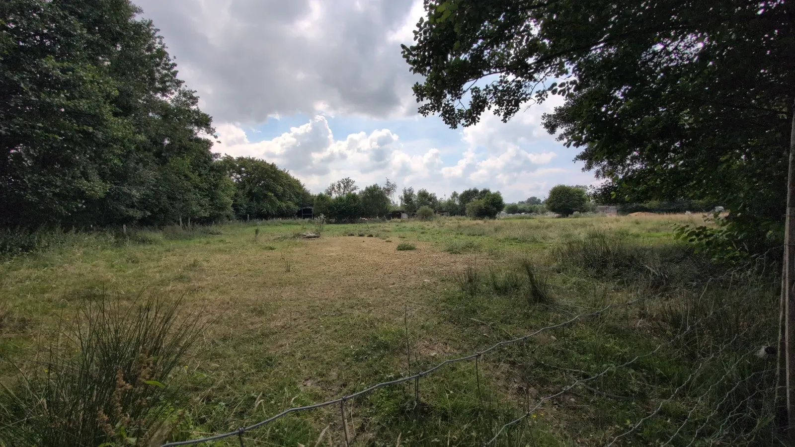 The Ferme de la Planche in Gouvy: a family walk to reconnect with nature, barefoot