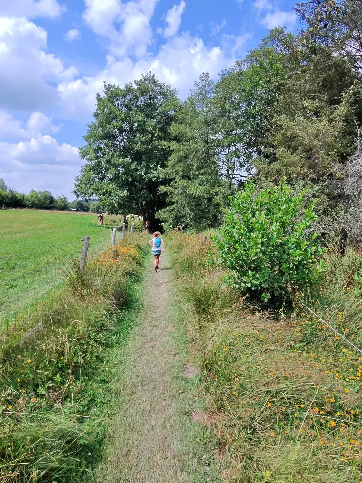Trail through the meadow at the Ferme de la Planche